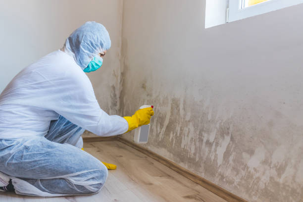 Mold Remediation specialist working in Magnolia
